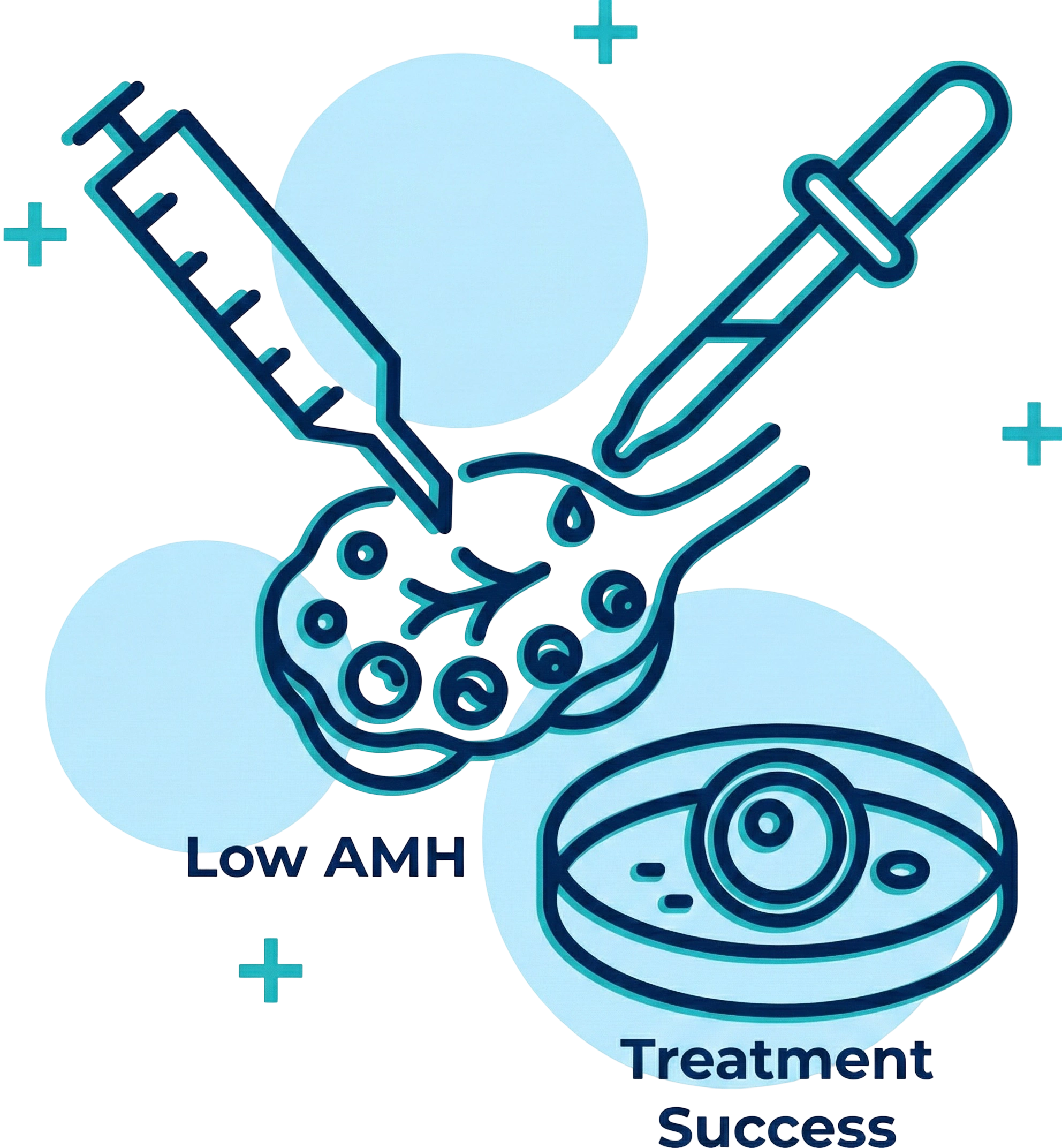 Low AMH treatment Icon