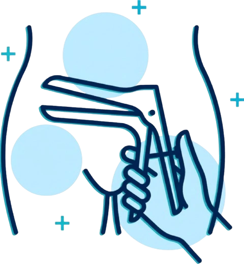 Gynecology Icon